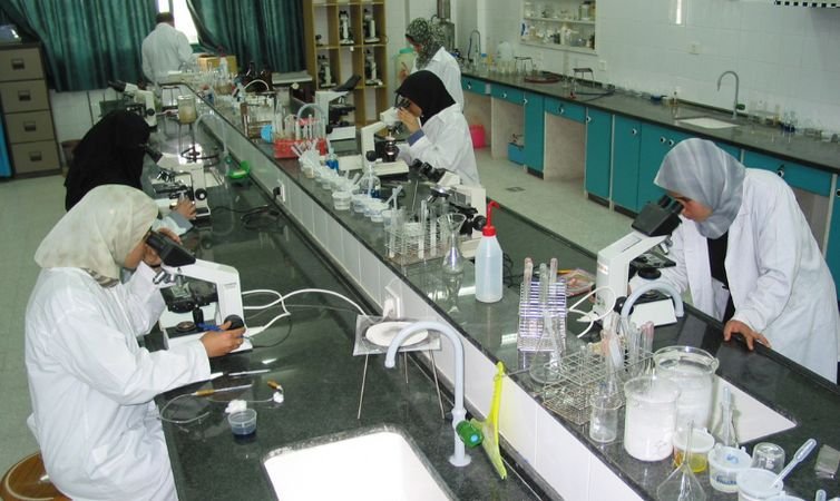 Hala El-Khoondar/Arquivo pessoal Rio de Janeiro (RJ), 03/10/2025 – SProfessora de Gaza fala sobre o esforço para manter ensino e pesquisas.
Foto: Hala El-Khoondar/Arquivo pessoal