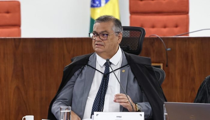 Campanha midiática: ministro Flávio Dino, em audiência de contextualização da ação que def...