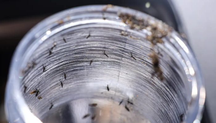 © Marcelo Camargo/Agência Brasil