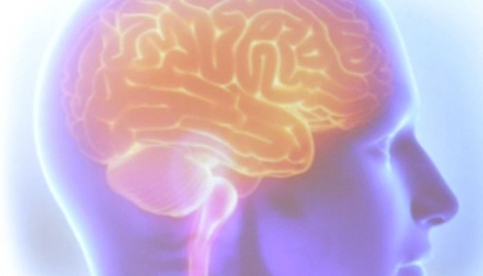 cerebro.jpg © Tânia Rêgo/Agência Brasil