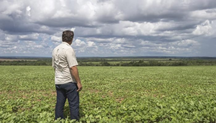 Fim da escala 6"1 geraria aumento imediato de custos de 9,6% ao agro, segundo estudo do Ipea. (Fo...