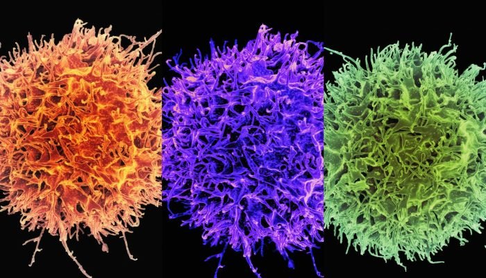 Raul Holderf Nascimento