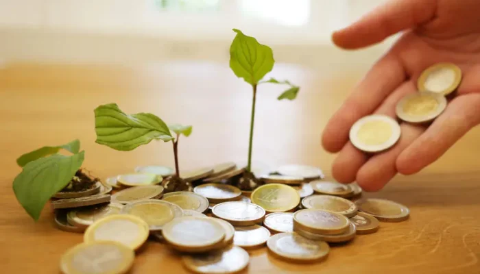 image_870x580_67741eca825c0.webp.webp image_870x580_67741eca825c0.webp.webp