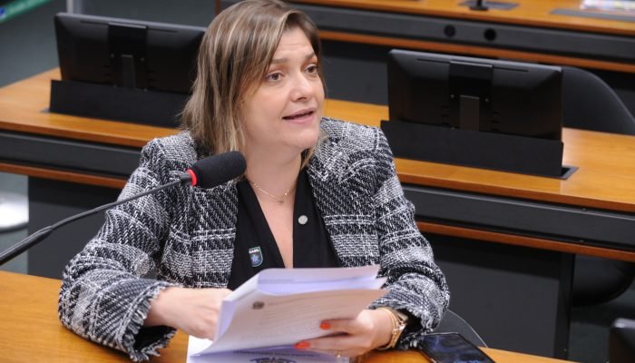 Luciene Cavalcante argumenta que derrubada do veto fere convenção sobre direitos humanos. (Foto...