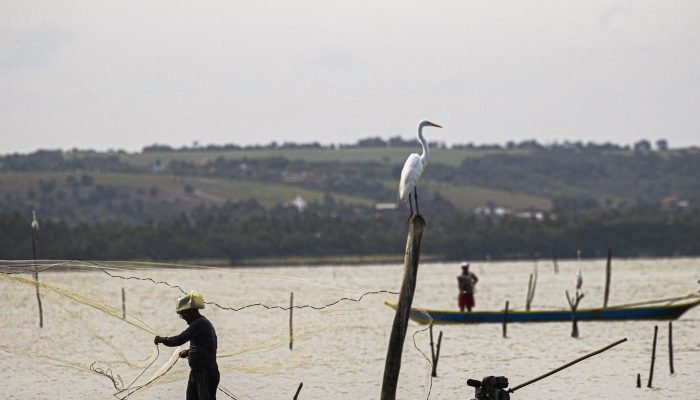 © Joédson Alves/Agência Brasil