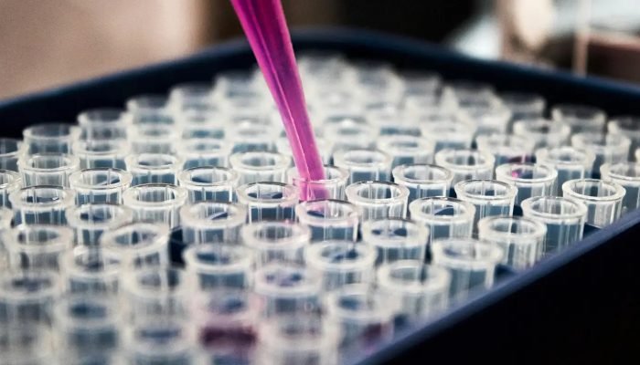 louis-reed-pwckf7l4-no-unsplash.jpg © Louis Reed/ Unsplash