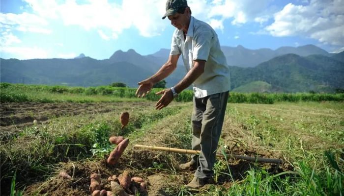 Projeto prevê uso de recursos do Pré-Sal, entre outras fontes, para criar linha de crédito e r...